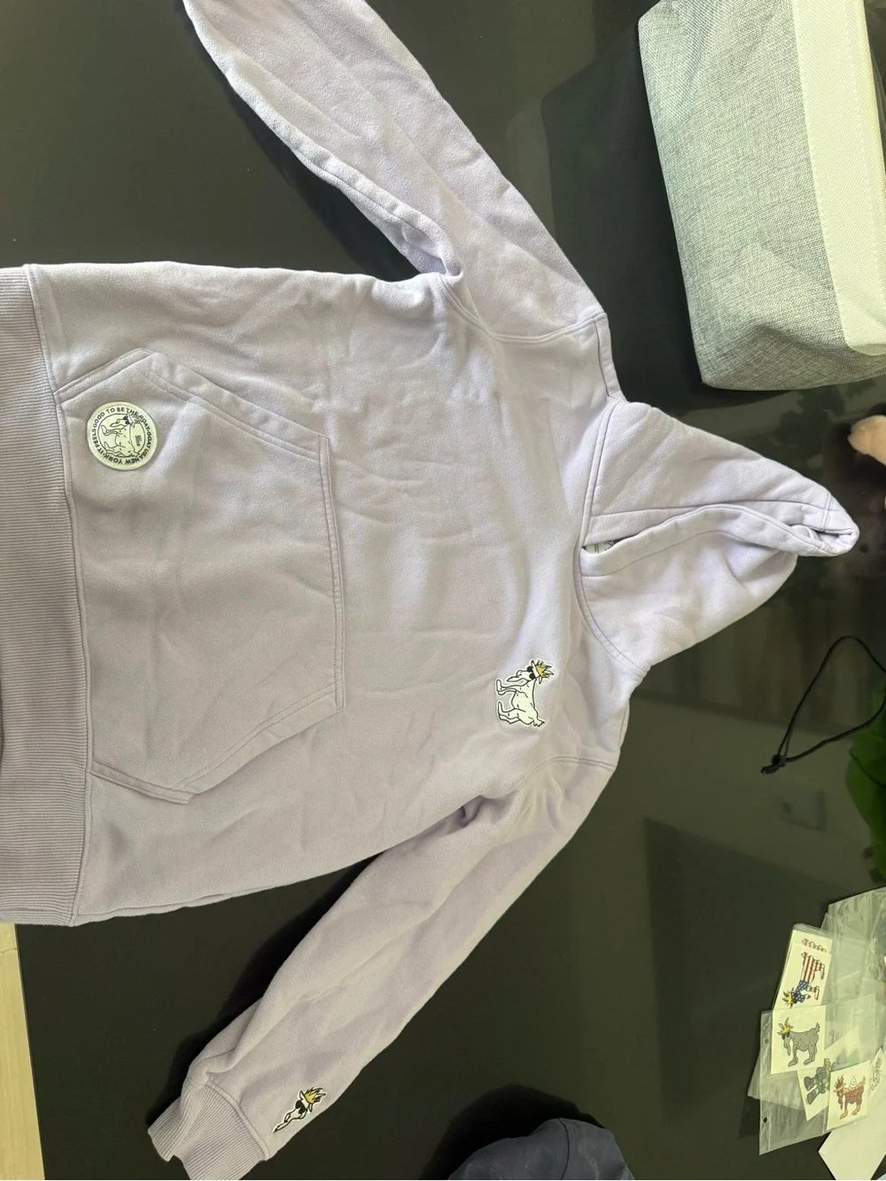 Kids Light Purple Hoodie with Dino Patch - Brand Unknown